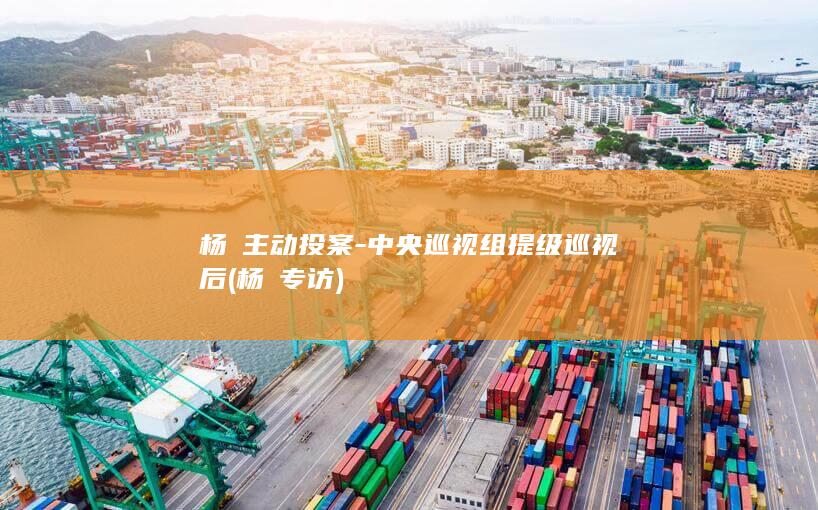 杨皕主动投案-中央巡视组提级巡视后 (杨玏专访)